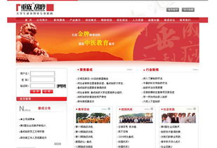 河北垂成教育咨詢服務(wù) 專業(yè)引領(lǐng)，助力教育夢(mèng)想